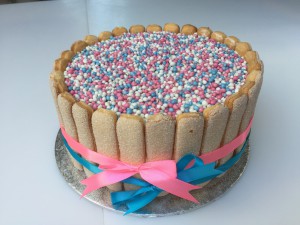 Kindertaarten - Gender revealtaart met lange vingers en muisjes