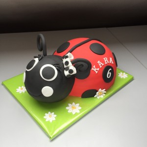 Kindertaarten - 3D Lieverheersbeestje Lady Bug taart Kindertaarten - 3D Lieverheersbeestje Lady Bug taart